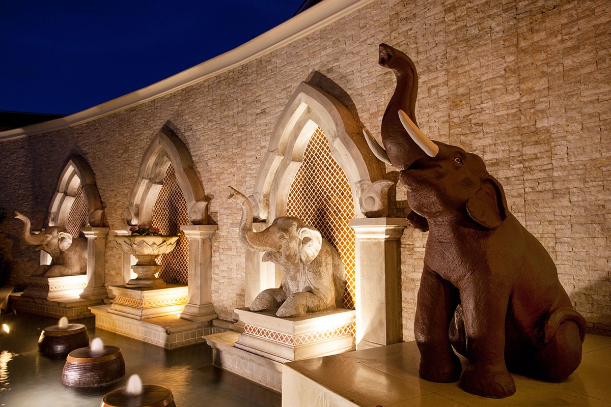 �ǥ����Х� �ѥȥ� �꥾���ȡ����ѡ����(���᡼��)