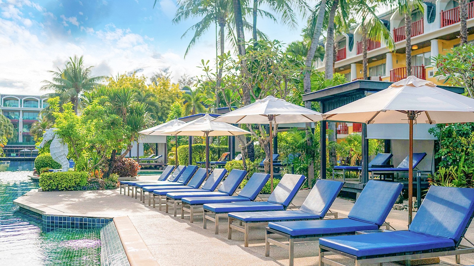 �ס����å� ���졼������ �꥾���ȡ����ѡ��ס���(���᡼��)